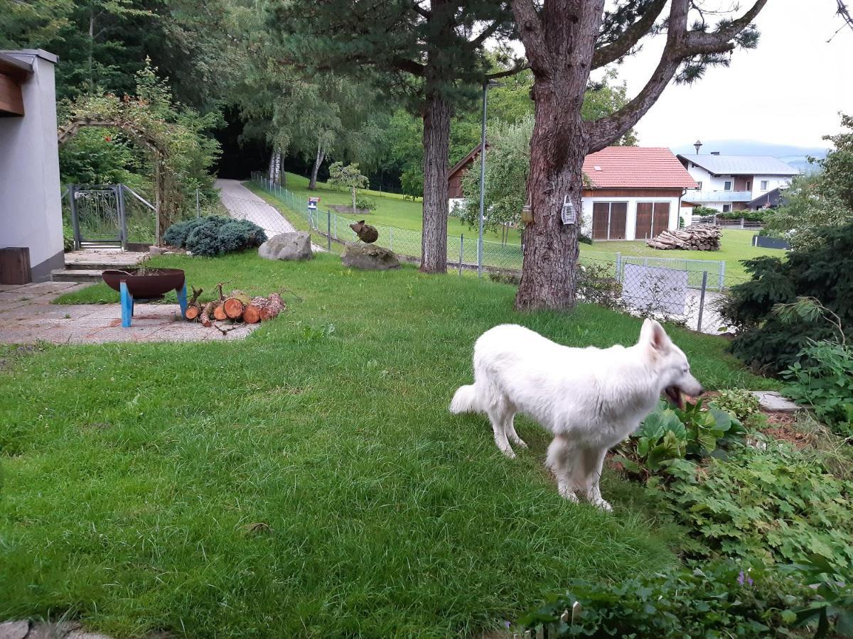 Ferienwohnung Bliem Feldkirchen in Kärnten Dış mekan fotoğraf